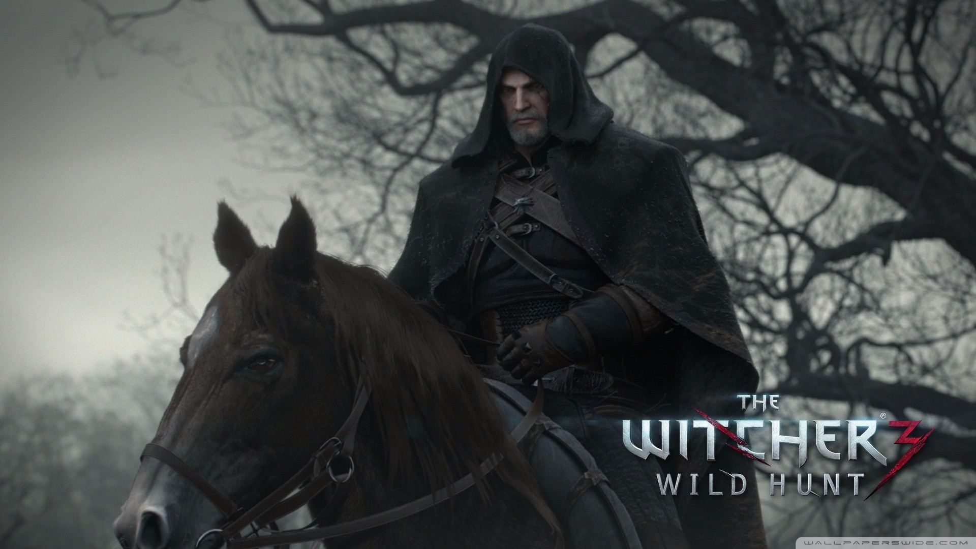 В The Witcher 3: Wild Hunt появится второй игровой персонаж